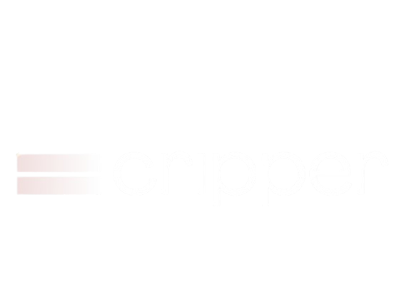 SkriptPanel Logo